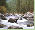 Ecosystem Defense